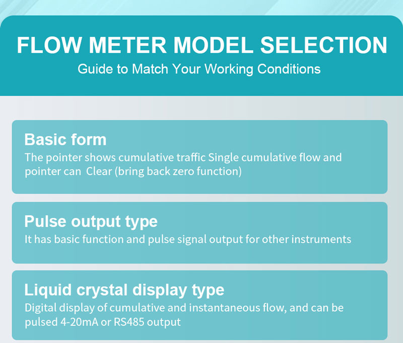 Cast Iron Oval Gear Flow Meter for Industrial Instrumentation and Control